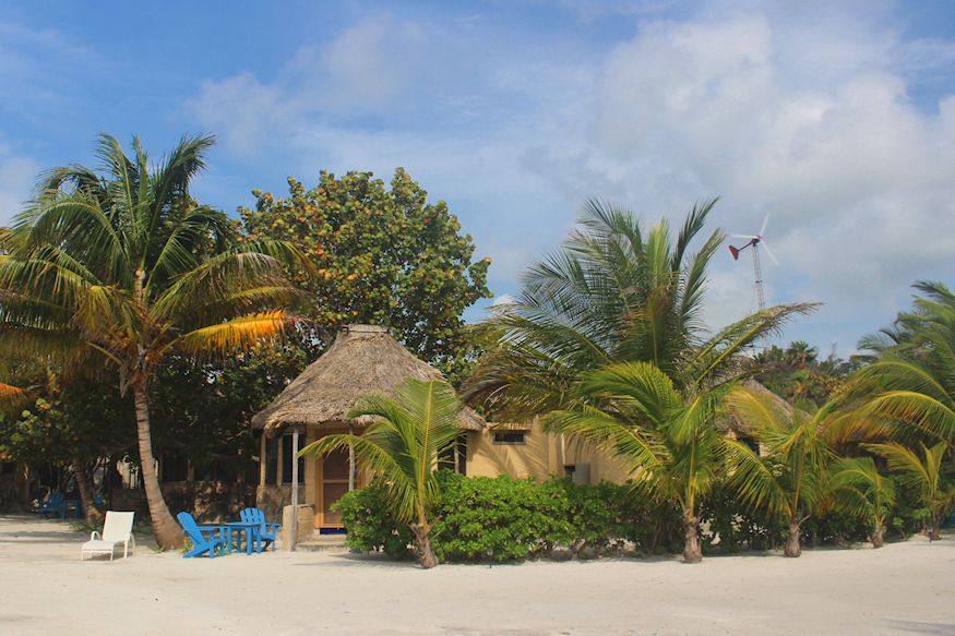 Resort Huts and Palms Costa de Cocos