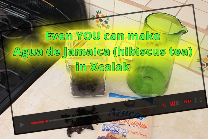 Agua de Jamaica in Xcalak Video